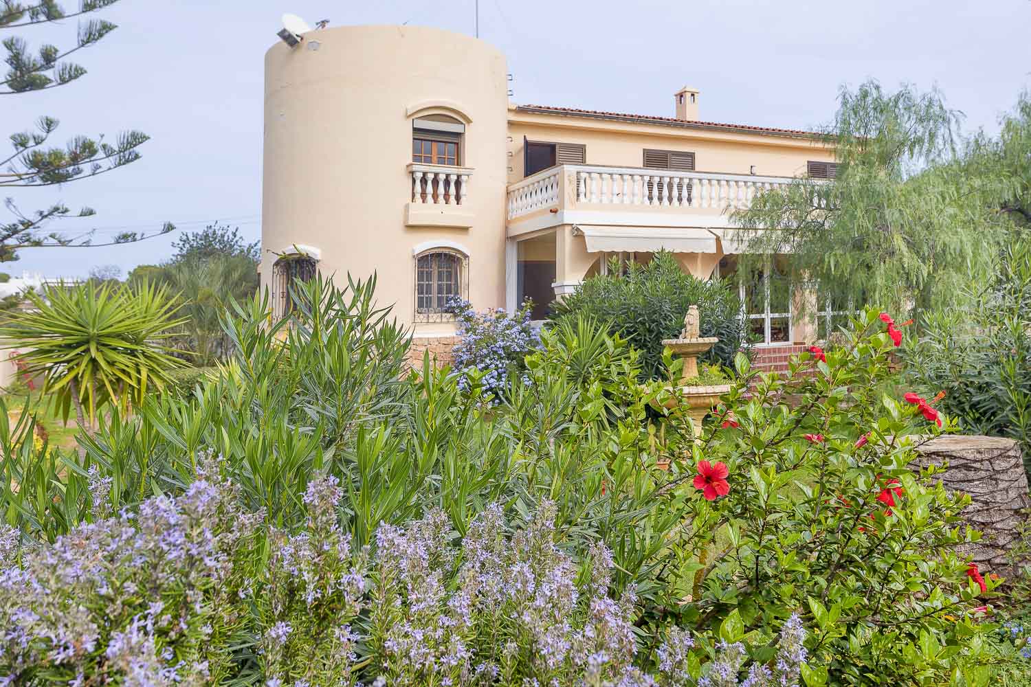 Jardín con flores en una villa en Ibiza